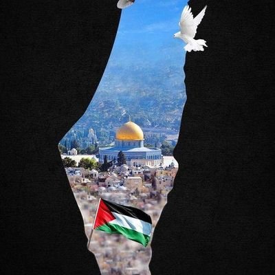 Lexelooklens45's profile picture. United for humanity and justice 🇵🇸