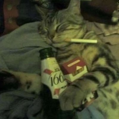 Felix1395529's profile picture. $SIGMA TO 10 BILLION Σ