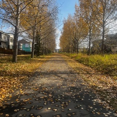 Mkelvin77's profile picture. I kneel only to Allah. Islam ☪️