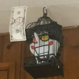 breddotexe's profile picture. some autistic, music loving 22 year old