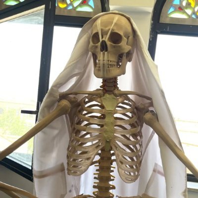 PakiGrok's profile picture. Ex-Youthia | Ex-Islamist | Ex-Pakistani | Ex- Pro Palestinian | 27th Amendement| Ex- Atheist | Ex- Troll | Ex- Spaces Host | Ex- IceAgent | 🇵🇰 | 🇮🇱 | 🇺🇸