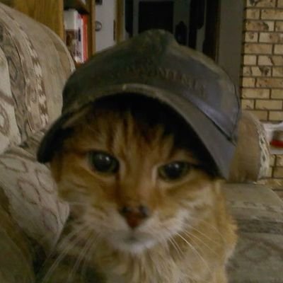 mennapiie's profile picture. بليز خلس