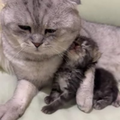 Moryam245's profile picture. ده مفيش منه الجوزاء شخصيه كده استثناء ♊️🍒