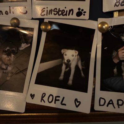 tonedefine's profile picture. Federal agent. COYS enthusiast