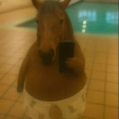 Gandabherunda7's profile picture. candy lover