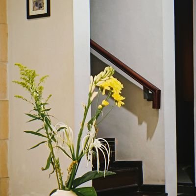 xiaoseul_31's profile picture. ‧₊ ᵎᵎ 🍒 ⋅ ˚✮ 𝜗𝜚 ࣪˖ ִ