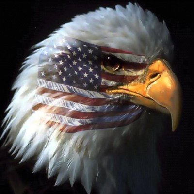 JuiDesai2's profile picture. America First 🇺🇸, Love America 🇺🇸, Freedom is priceless！