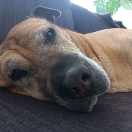 Leone27_'s profile picture. Creo en ti y en este amor.