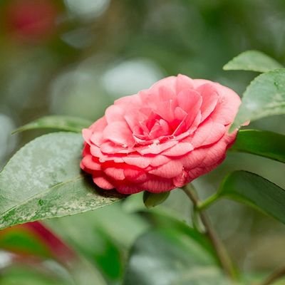 Shivsaravan's profile picture. 