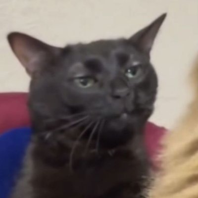 0xmevv's profile picture. shitpost sometimes, probably delete later