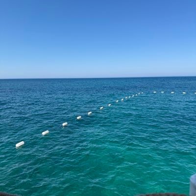 Gogo5645's profile picture. 