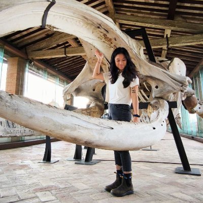 isabellepola's profile picture. MSc Palaeontology student 🔬 | marine mammals & reptiles 🐋🐊 | uni of helsinki  🇫🇮🎓 | surfer 🌊 diver 🤿 snowboarder 🏂🏻 | paleo art dabbler 🎨 | (she/her)