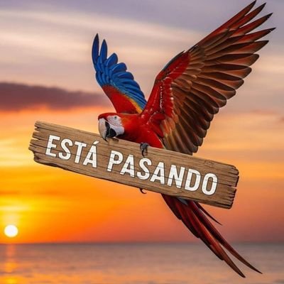 lalyblues's profile picture. El que se arrodilla ante la injusticia, deja de ser inocente