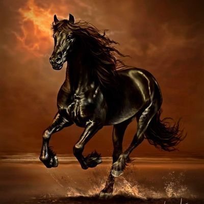 AbwBdallh53305's profile picture. أذا المرأء لم يدنس من اللوم عرضه فكل رداء يرتديه جميل