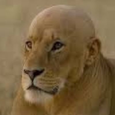 Mr_7star_'s profile picture. 🐬🧔‍♂️