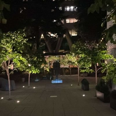 LadyHinata013's profile picture. 