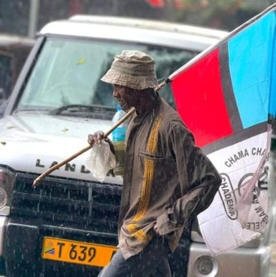 Amphibiansmell's profile picture. TEACHER BY ACCIDENT