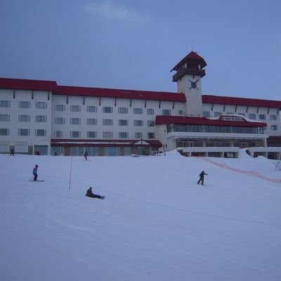 MASANORYAN's profile picture. _φ(･_･｜MLB⚾中心｜🏊｜🐴｜