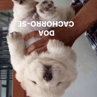 viciosalldavel's profile picture. odeio essa rede social
https://t.co/GU3pJIhUwe