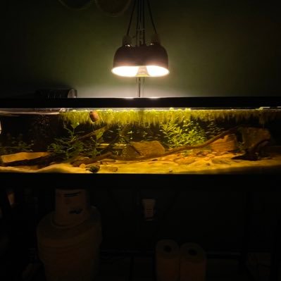 55HPMONK's profile picture. got louis vuitton because I’m banned from the gucci store