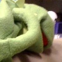 Cryptonda19927's profile picture. 