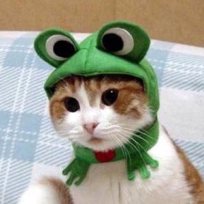 michimoomo's profile picture. 18 she/her , call me michi or dani or ella , i created and direct sonic originals , i like sonicpastas and roblox (link to my kofi shop in bio!) @dolliewalli ★彡