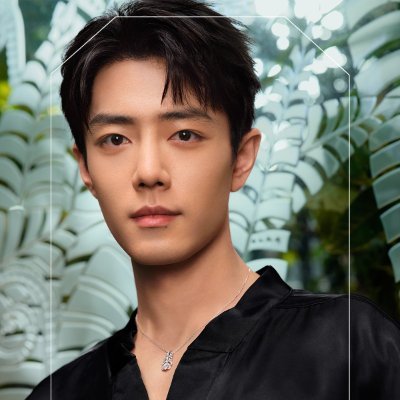 mystique_q's profile picture. Xiao Zhan fan account 🐰🦐 ❌🐢🏍️🐍🐷❌