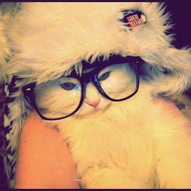 w0nyoungcats's profile picture. real life fluttershy ᥫ᭡ | 3 days binge free :3