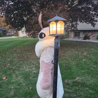 tuvati's profile picture. got sussed at 1.8k :( im on here for shits and giggles and idk like u should follow me or something