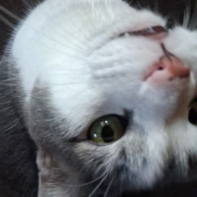 MF91663's profile picture. buzzing with electrolytes

anti imperialist 

abrasive music enjoyer

Free Sudan 🇸🇩 
Free Palestine 🇵🇸
Fuck AI