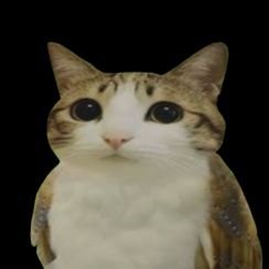 hyperautstcgamr's profile picture. 