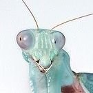 durkkway's profile picture. 