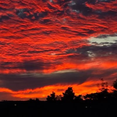 BartkusDavid's profile picture. #SPX #BRETT