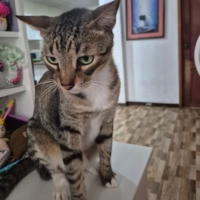 Mariana99_04_14's profile picture. 