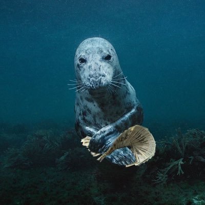 J07ER's profile picture. @VyreEmpire