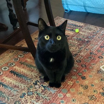 Privilege999's profile picture. 