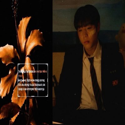 cady_ward's profile picture. The☀️will rise again