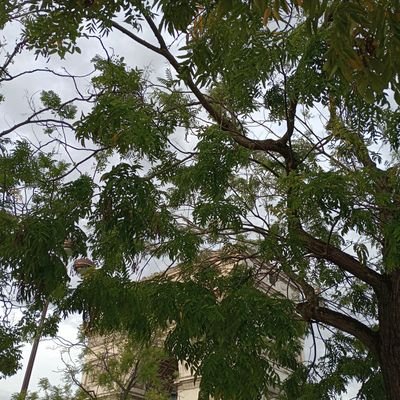 AndreTehmin's profile picture. Mechanik