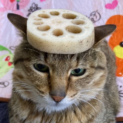 hugefatpenis's profile picture. she/they/it, 19

mainly just retweeting stuff that i like. dont expect anything grand post-wise