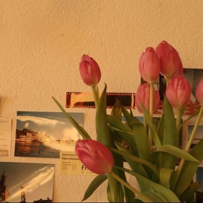 Mais_SaQer's profile picture. Yu||🩺