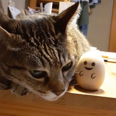 1tMeRexrF591275's profile picture. murmuring about movies,books,etc. from Kyoto