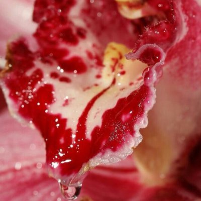 RTemp1998's profile picture. 