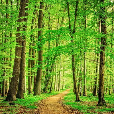 SigmaBravoAlpha's profile picture. Tacita Vertias