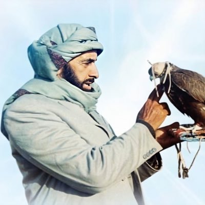 rbdaan's profile picture. ✌️