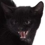 iamwillwill's profile picture. 