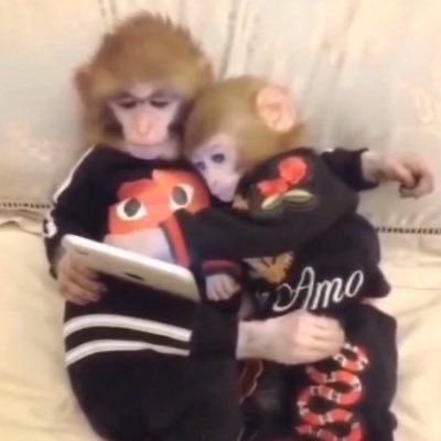 cikiImiy0r's profile picture. Burada akılda kalan ve içinden çıkılmayan anıların kayıtlarını izliyoruz. Reklam ve işbirliği için DM 👉🏼📩