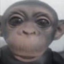 depresedandgay's profile picture. 🩷💜💙