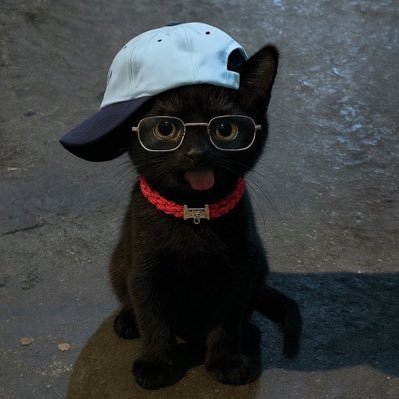 faggyma's profile picture. homophobic fatphobic transphobic jobphobic racist