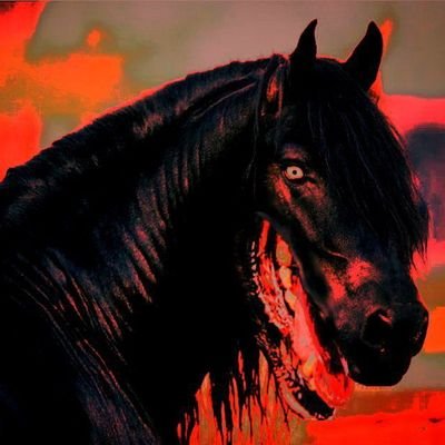 Cascavelbaleia's profile picture. Belbel 🩸🐎| 21 | PT-BR • Eng | sou furry | Qualquer pronome