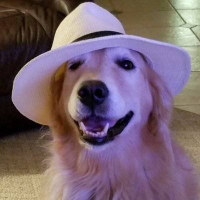 edith19860403's profile picture. MAGA, single, entrepreneur, 🚫pornography🚫 scammer